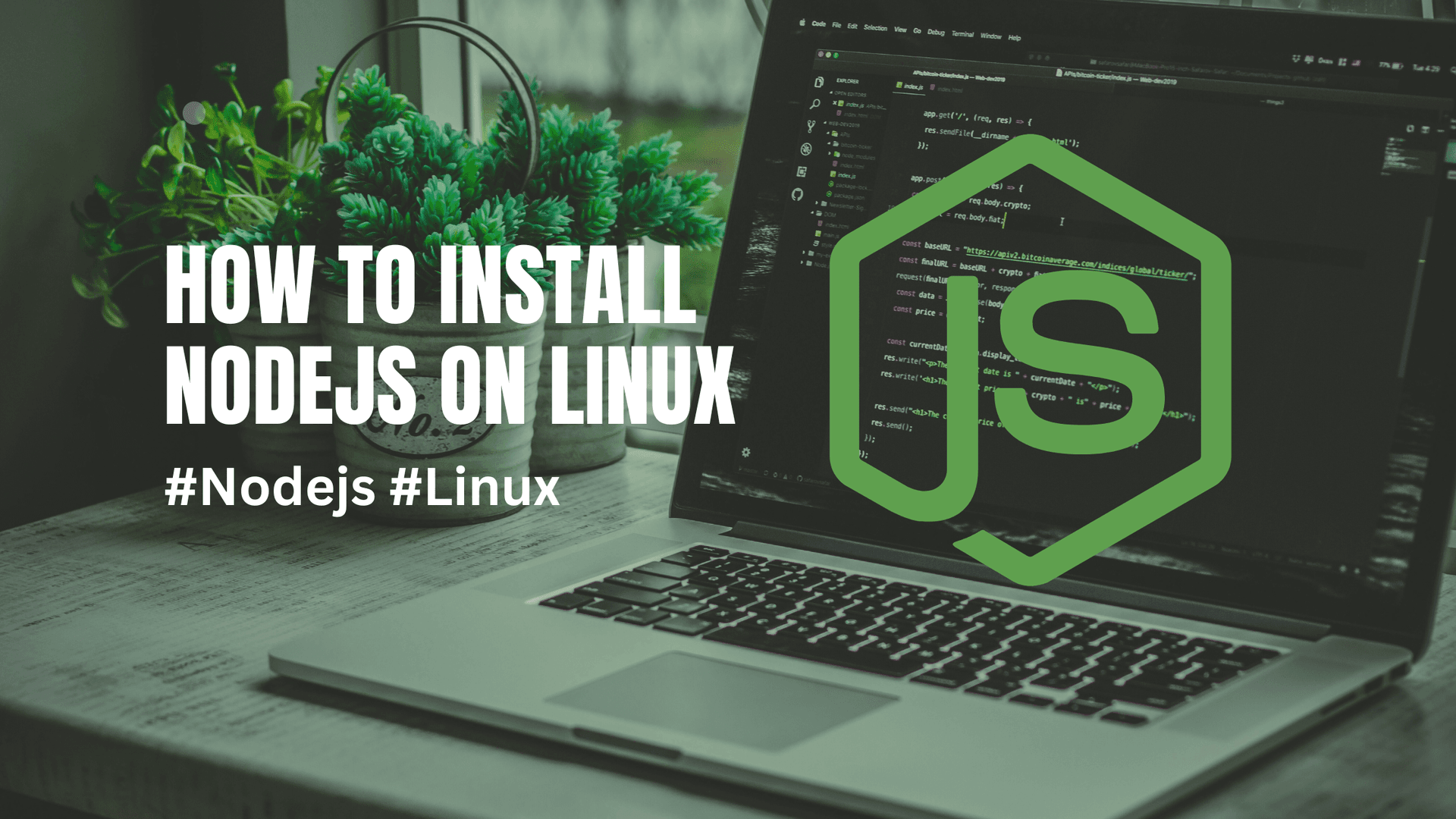 How to Install Node.js on Linux